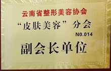 “皮膚美容”分會(huì)副會(huì)長單位