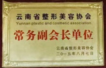 常務(wù)副會(huì)長單位