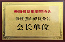 慢性創(chuàng)面修復(fù)分會(huì)會(huì)長單位
