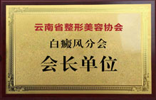 白癜風(fēng)分會(huì)會(huì)長單位